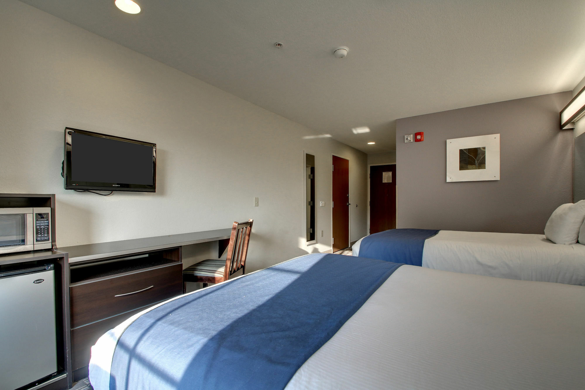Microtel Inn & Suites By Wyndham Tuscaloosa Exteriér fotografie